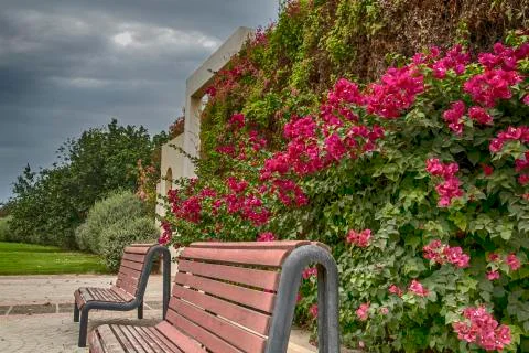 Landscape Stock Photos