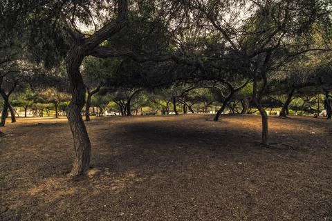 Landscape Stock Photos