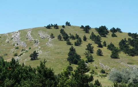 Landscape Stock Photos