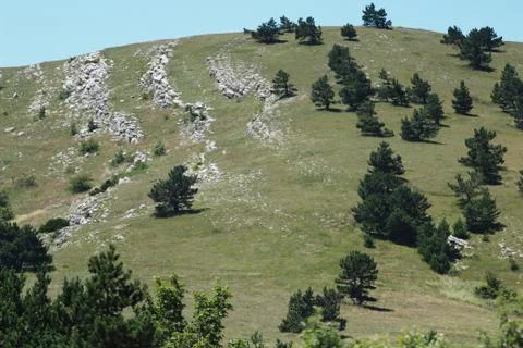 Landscape Stock Photos