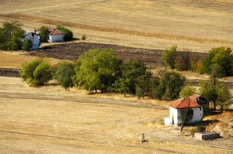 Landscape Stock Photos