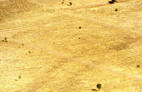 Landscape Stock Photos