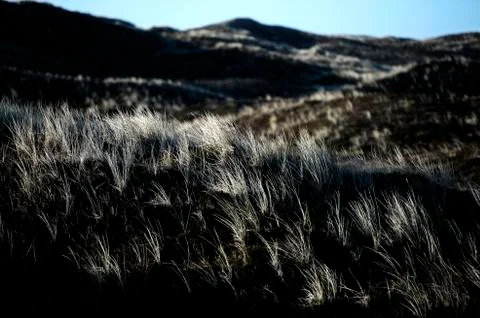 Landscape Stock Photos