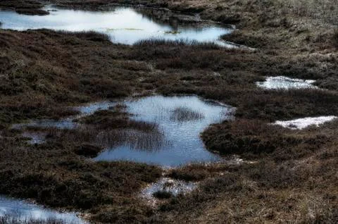 Landscape Stock Photos