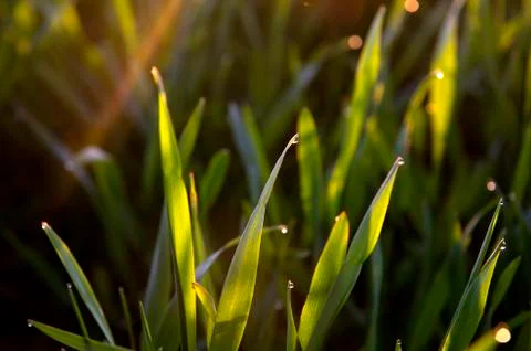 Landscape Stock Photos