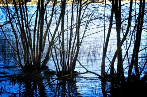 Landscape Stock Photos