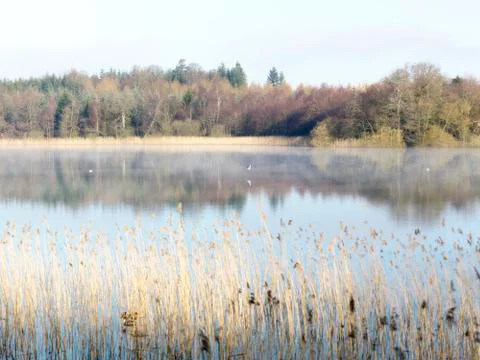 Landscape Stock Photos