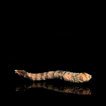 Landscape Stock Photos