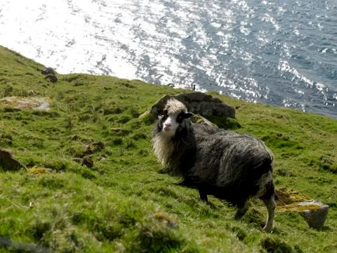 Landscape Stock Photos