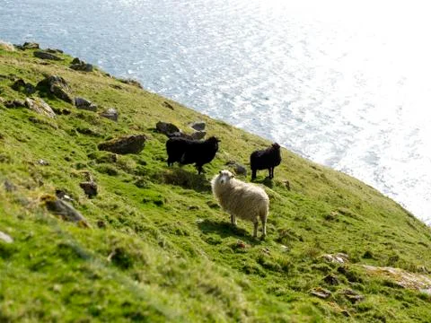 Landscape Stock Photos