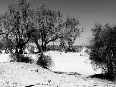 Landscape Stock Photos