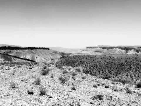 Landscape Stock Photos