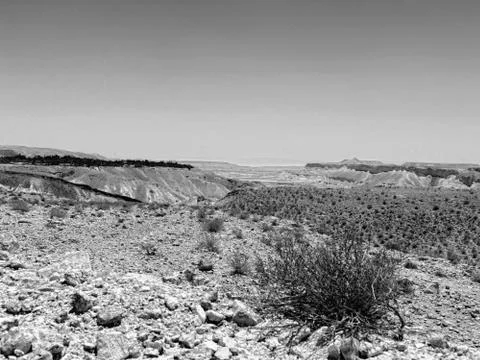 Landscape Stock Photos