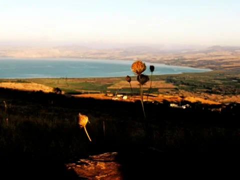 Landscape Stock Photos