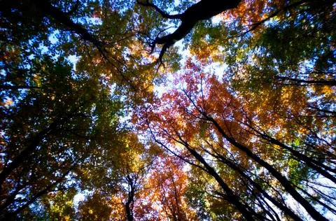 Landscape Stock Photos