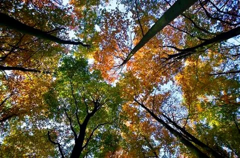 Landscape Stock Photos