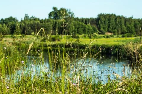 Landscape Stock Photos