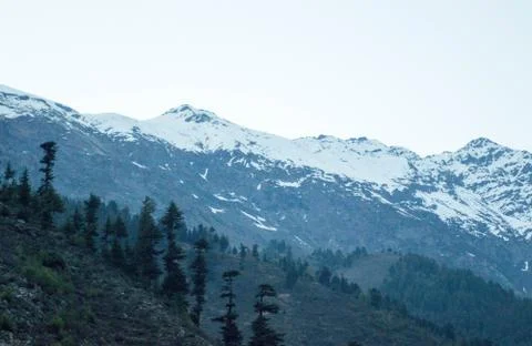 Landscape Stock Photos