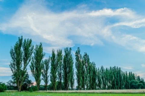 Landscape Foto stock