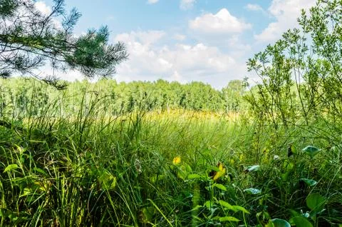 Landscape Stock Photos