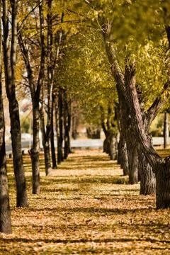 Landscape Stock Photos