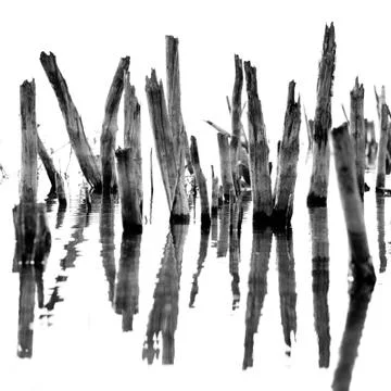 Landscape Foto stock