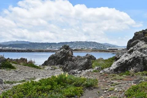 Landscape Stock Photos