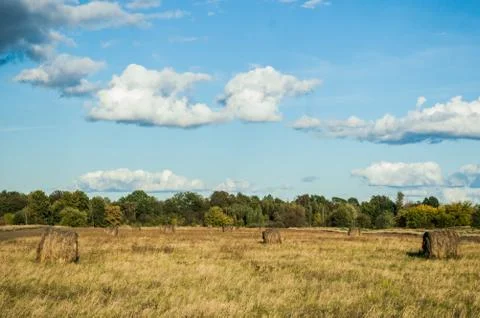 Landscape Stock Photos