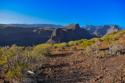 LANDSCAPE Stock Photos