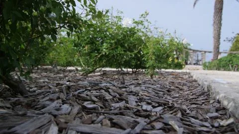 Landscape 写真素材