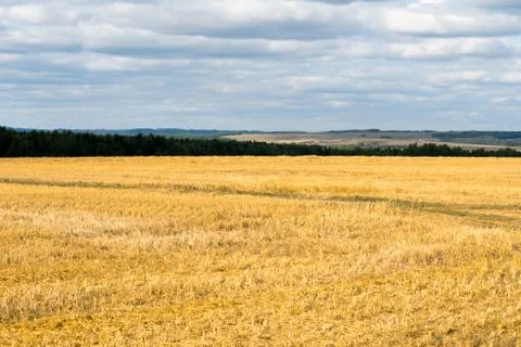 Landscape Stock Photos