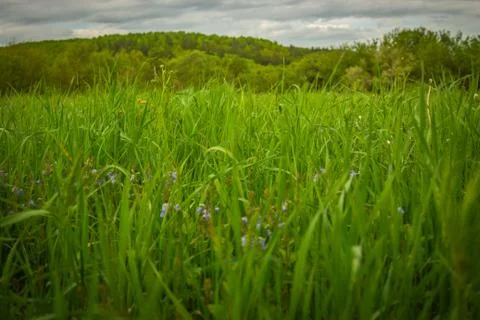 Landscape Stock Photos