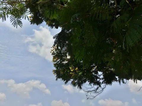 Landscape Stock Photos