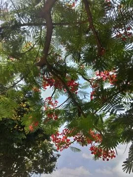 Landscape Stock Photos