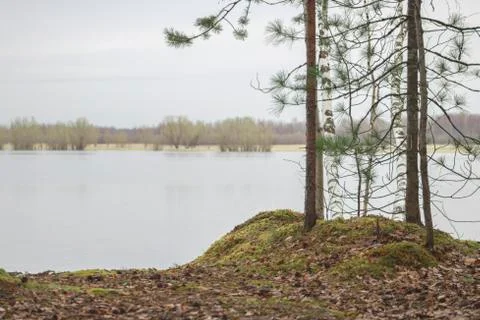 Landscape. Stock Photos