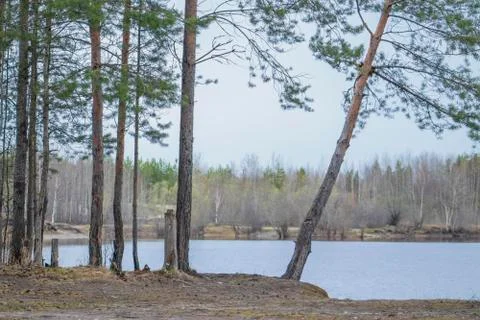 Landscape. Stock Photos