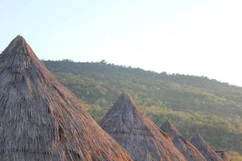 Landscape Stock Photos