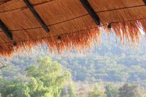 Landscape Stock Photos