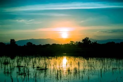 Landscape Stock Photos