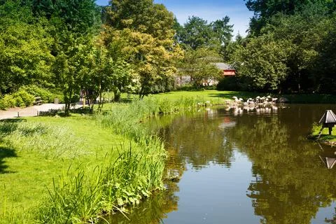 Landscape Stock Photos