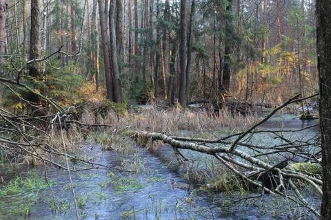 Landscape Stock Photos