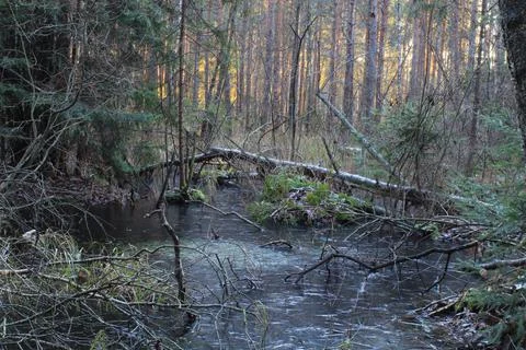 Landscape Stock Photos