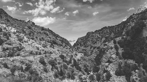 Landscape Stock Photos