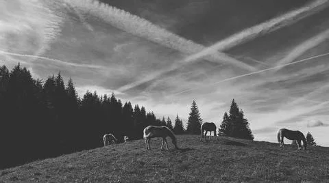 Landscape Foto stock