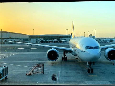 Landscape 库存照片