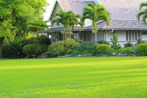 Landscape Stock Photos