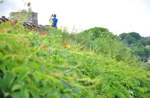 Landscape Stock Photos