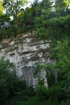 Landscape Stock Photos