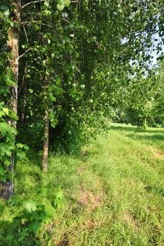 Landscape Stock Photos