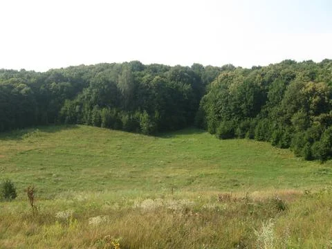 Landscape Stock Photos